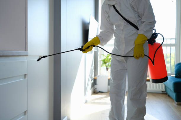 Cedar Bluff, AL Mold Remediation Company