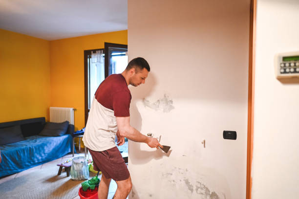 Best Mold Remediation for Schools in Cedar Bluff, AL