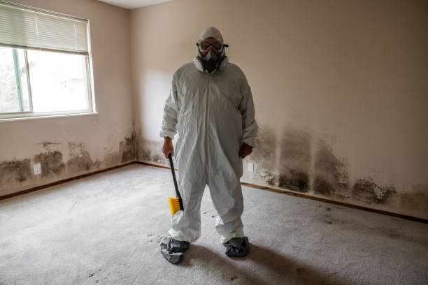 Best Industrial Mold Remediation in Cedar Bluff, AL